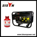 BISON(CHINA) BS2500BG 1Year Warranty Gas Electric Generator